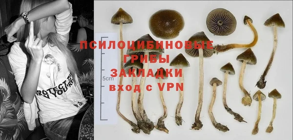 не бодяженный Беломорск